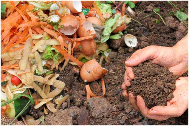 Commercial Composting and Creating Less Waste at Your Business