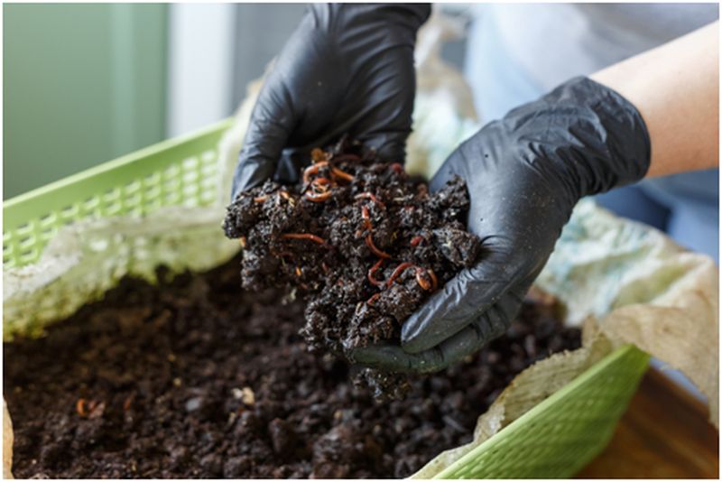 compost bin