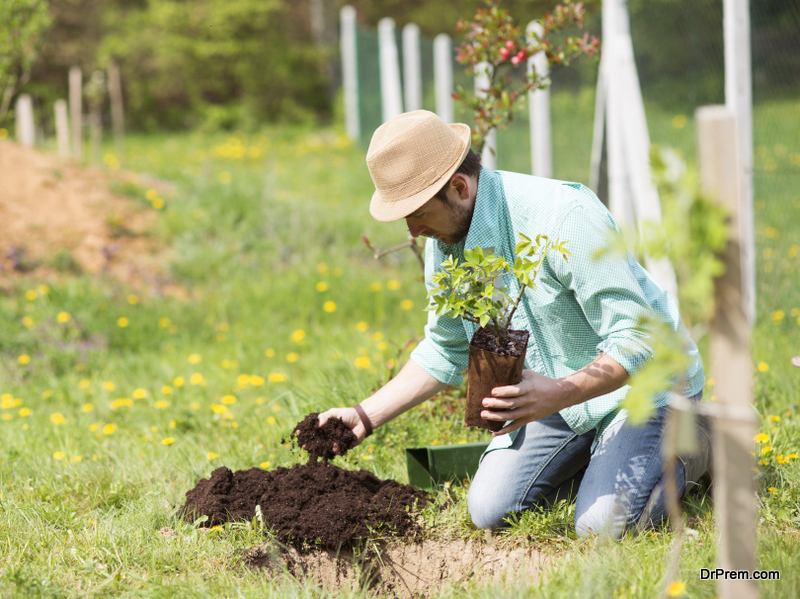Ways Gardening Could Help You Lead a More Fulfilling Life