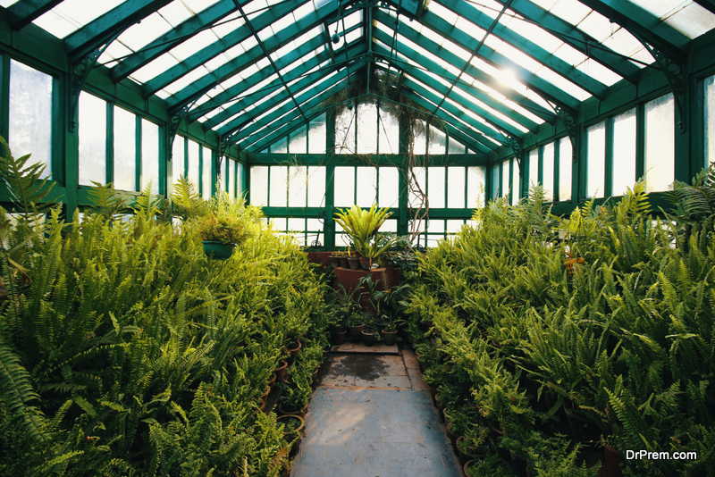 A Complete Guide to Buy the Best Greenhouse