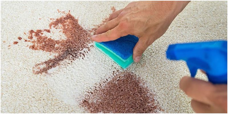 Best Carpet Stain Removal Tips