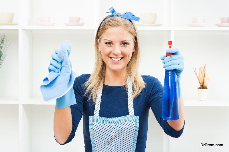 Eco-Friendly Cleaning Made Easy Budget-Friendly and Sustainable Cleaning Products
